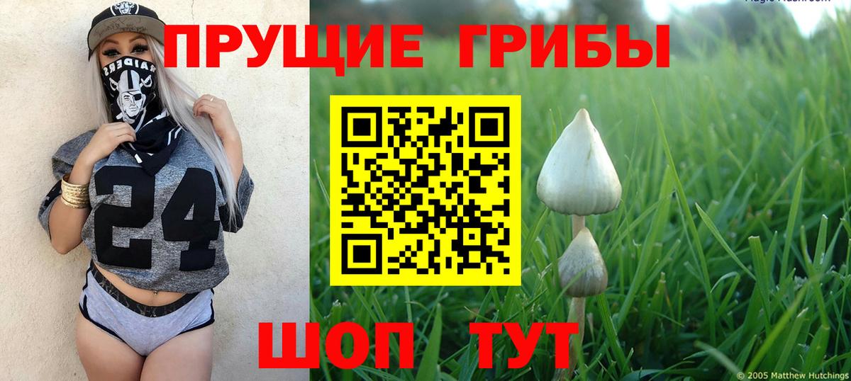 Тольятти  Псилоцибиновые грибы Magic Shrooms  Вход с VPN 